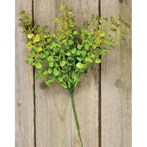 Baby's Grass Pick 9 Light Green - The Fox Decor