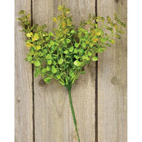 Baby's Grass Pick 9 Light Green - The Fox Decor