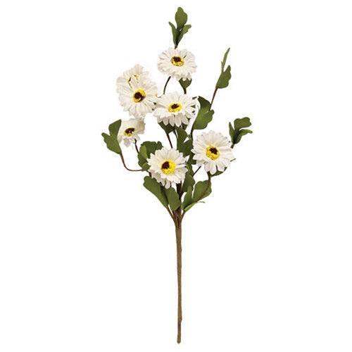 White Daisy Pick 15 - The Fox Decor