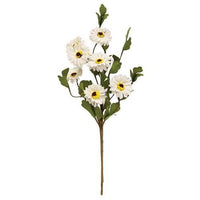White Daisy Pick 15 - The Fox Decor