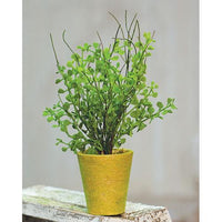 Potted Fern - The Fox Decor