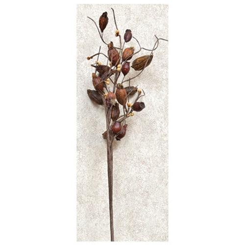Dried Rose Hip Pick - The Fox Decor