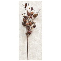 Dried Rose Hip Pick - The Fox Decor