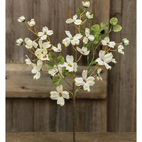 Cream English Dogwood Bush 17 - The Fox Decor
