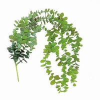 Eucalyptus Hanging Garland - The Fox Decor