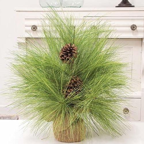 Long Needle Giant Pine Tree 24 - The Fox Decor