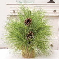 Long Needle Giant Pine Tree 24 - The Fox Decor