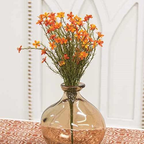 Bittersweet Star Flower Bush 155H - The Fox Decor