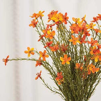 Bittersweet Star Flower Bush 155H - The Fox Decor