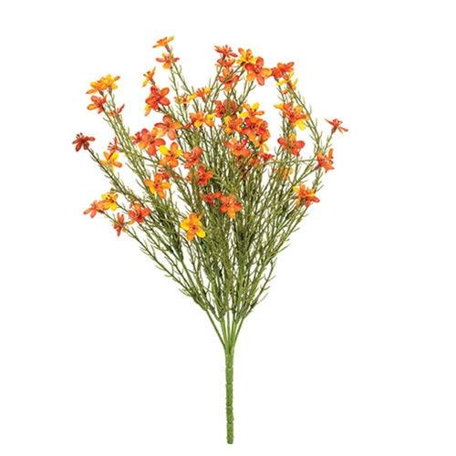 Bittersweet Star Flower Bush 155H - The Fox Decor