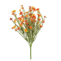Bittersweet Star Flower Bush 155H - The Fox Decor