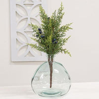 Blue Berry & Cedar Bush 17 - The Fox Decor