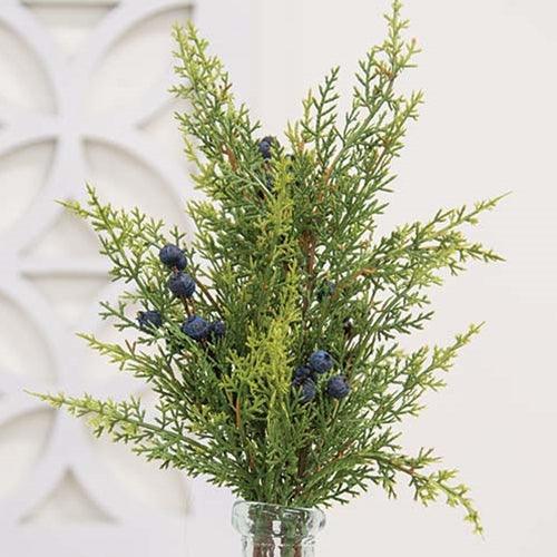 Blue Berry & Cedar Bush 17 - The Fox Decor