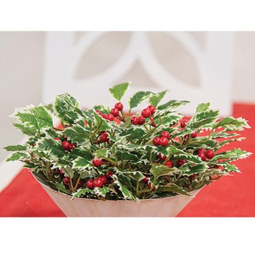 Mini Holly Leaves & Berries Half Sphere 10 - The Fox Decor