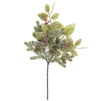Snowy Fittonia Pine & Berries Pick 15 - The Fox Decor