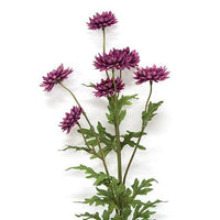 Plum Strawflower Spray 25 - The Fox Decor