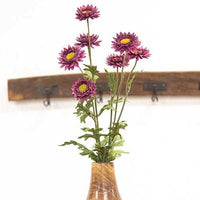 Plum Strawflower Spray 25 - The Fox Decor