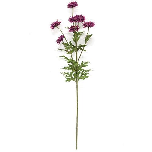 Plum Strawflower Spray 25 - The Fox Decor