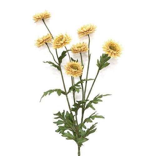 Teastain Strawflower Spray 25 - The Fox Decor