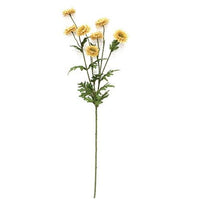 Teastain Strawflower Spray 25 - The Fox Decor