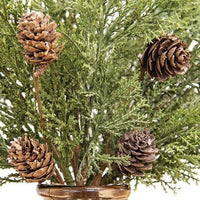 Western Cedar & Pinecone Bush 19 - The Fox Decor
