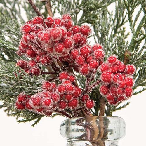 Graceful Cedar Berry Bush 19 - The Fox Decor