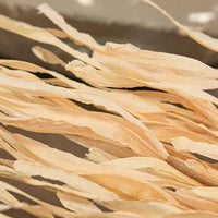 Woodbury Grass Spray 34 Natural - The Fox Decor