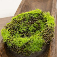 Mossy Vine Birdnest 6 - The Fox Decor