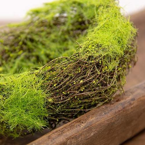Mossy Vine Birdnest 6 - The Fox Decor