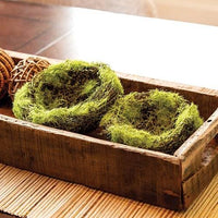 Mossy Vine Birdnest 6 - The Fox Decor