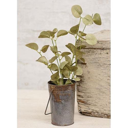 Foamy Silver Dollar Spray Sage - The Fox Decor