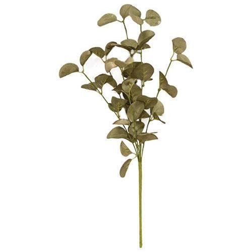 Foamy Silver Dollar Spray Sage - The Fox Decor