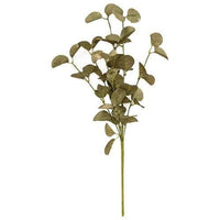 Foamy Silver Dollar Spray Sage - The Fox Decor