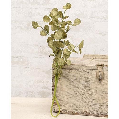 Foamy Silver Dollar Pick Sage 16 - The Fox Decor