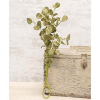 Foamy Silver Dollar Pick Sage 16 - The Fox Decor