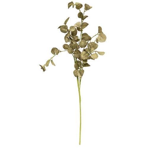 Foamy Silver Dollar Pick Sage 16 - The Fox Decor