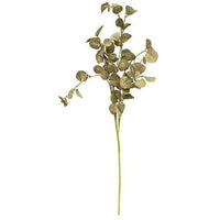 Foamy Silver Dollar Pick Sage 16 - The Fox Decor