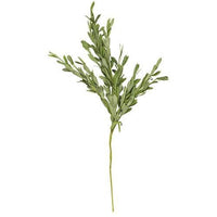 Foamy Willow Leaves Spray - The Fox Decor