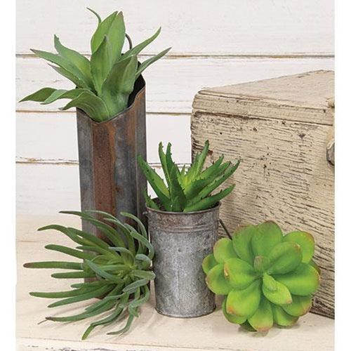 Tropical Agave Stem - The Fox Decor