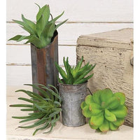 Tropical Agave Stem - The Fox Decor
