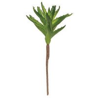 Tropical Agave Stem - The Fox Decor