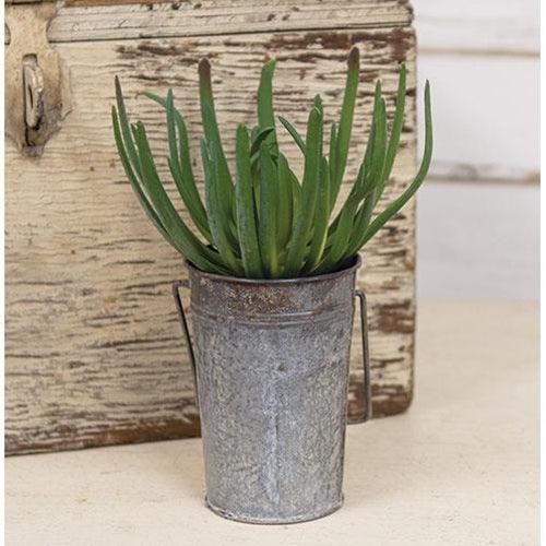 Palm Succulent - The Fox Decor