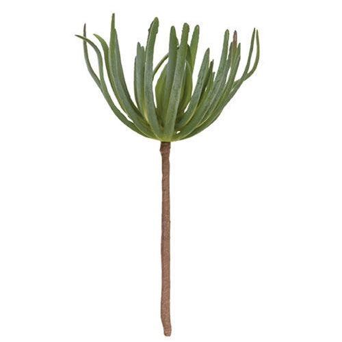 Palm Succulent - The Fox Decor