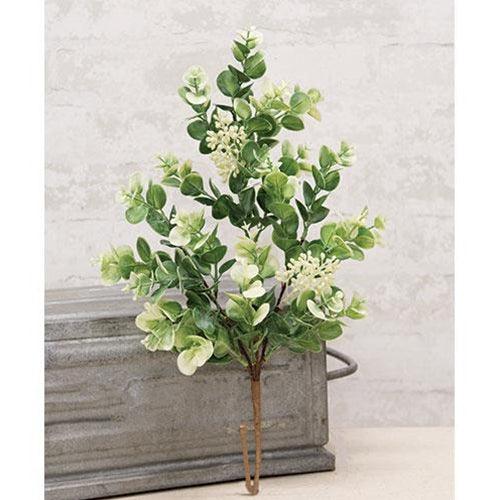 Seeded Baby Eucalyptus Bush - The Fox Decor
