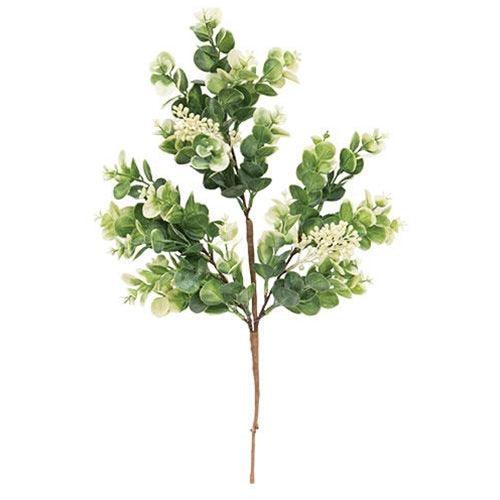 Seeded Baby Eucalyptus Bush - The Fox Decor