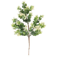 Seeded Baby Eucalyptus Bush - The Fox Decor
