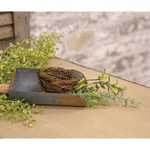 Fern and Birdnest Pick 14 - The Fox Decor