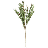 Red Pip & Herb Spray - The Fox Decor