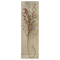 Red Green Pip & Star Spray 24 - The Fox Decor