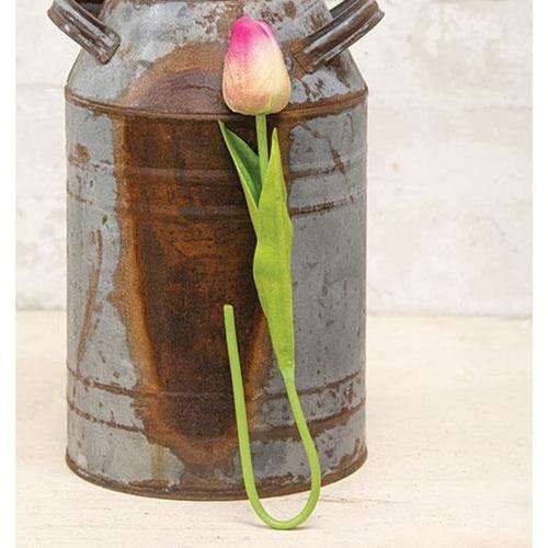 Foamy Tulip Bud Stem Pink & Green - The Fox Decor